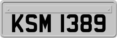KSM1389