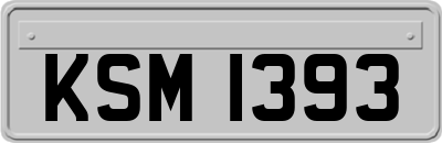 KSM1393