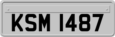 KSM1487