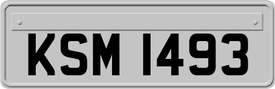 KSM1493