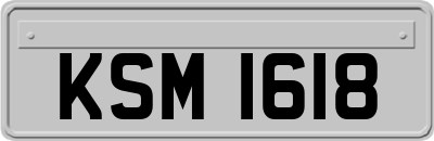 KSM1618