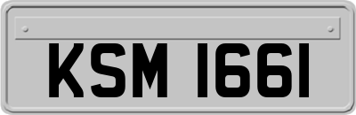 KSM1661