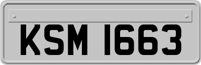 KSM1663