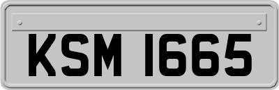 KSM1665