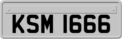 KSM1666