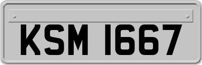 KSM1667