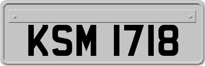KSM1718