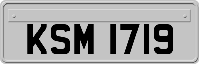 KSM1719