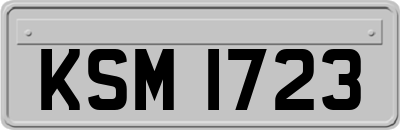 KSM1723
