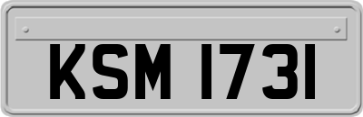 KSM1731