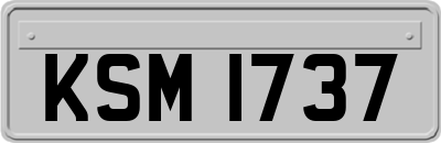 KSM1737