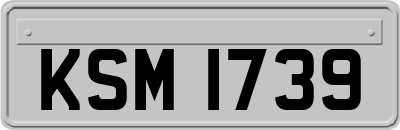 KSM1739