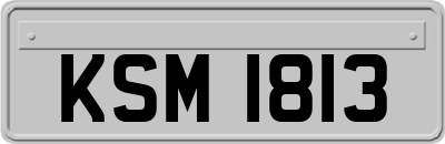 KSM1813