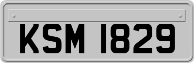 KSM1829