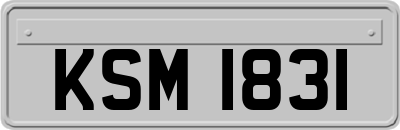 KSM1831