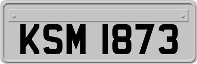 KSM1873