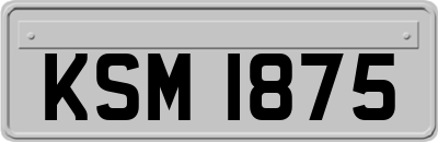 KSM1875