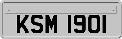 KSM1901