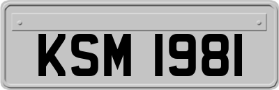 KSM1981