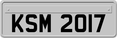 KSM2017
