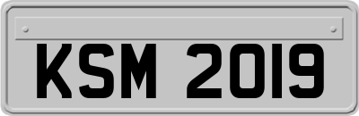 KSM2019
