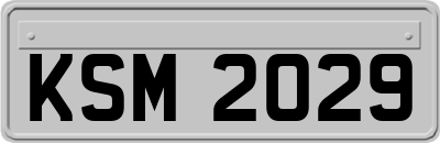 KSM2029