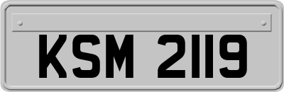 KSM2119