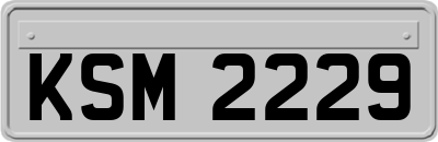 KSM2229