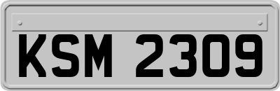 KSM2309