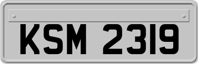 KSM2319