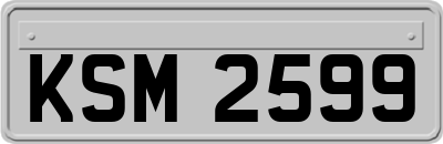 KSM2599