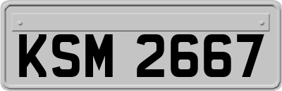 KSM2667