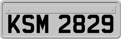 KSM2829