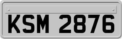 KSM2876