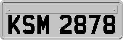 KSM2878