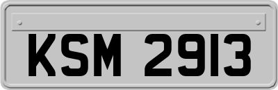 KSM2913