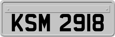 KSM2918