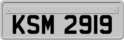 KSM2919