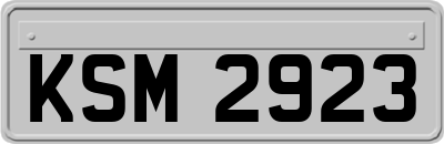 KSM2923