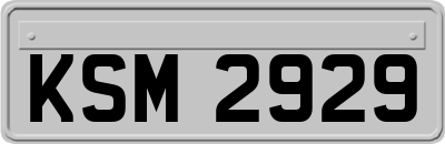 KSM2929