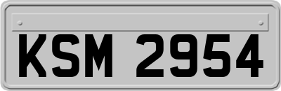 KSM2954