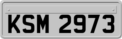KSM2973