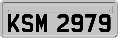 KSM2979