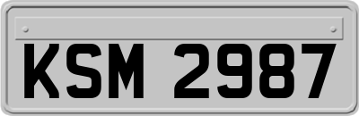 KSM2987