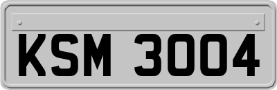 KSM3004