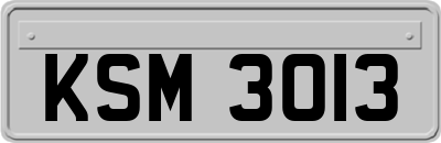 KSM3013