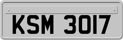 KSM3017