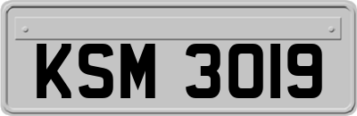 KSM3019