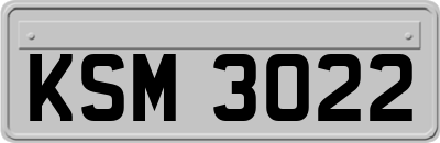 KSM3022