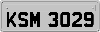 KSM3029